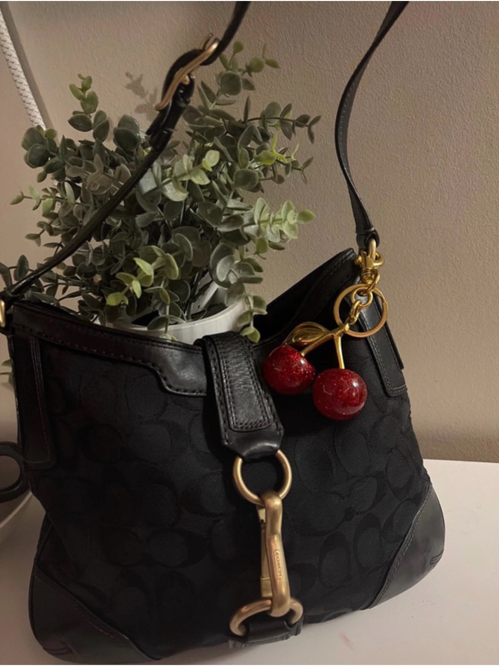 Coach Black Signature Canvas Hobo with Red Cherry Charm
